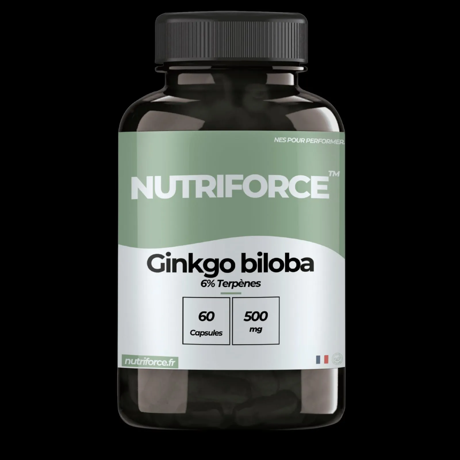 Pot de Ginkgo Biloba Nutriforce