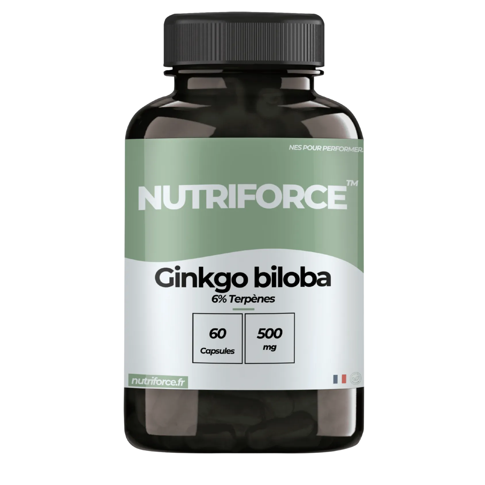 Pot de Ginkgo Biloba Nutriforce