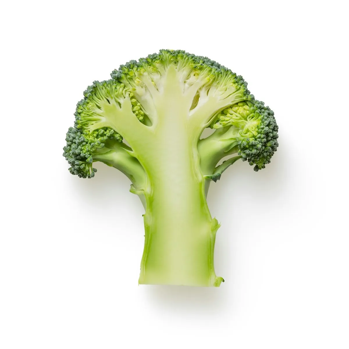 Comparatif des meilleures maca