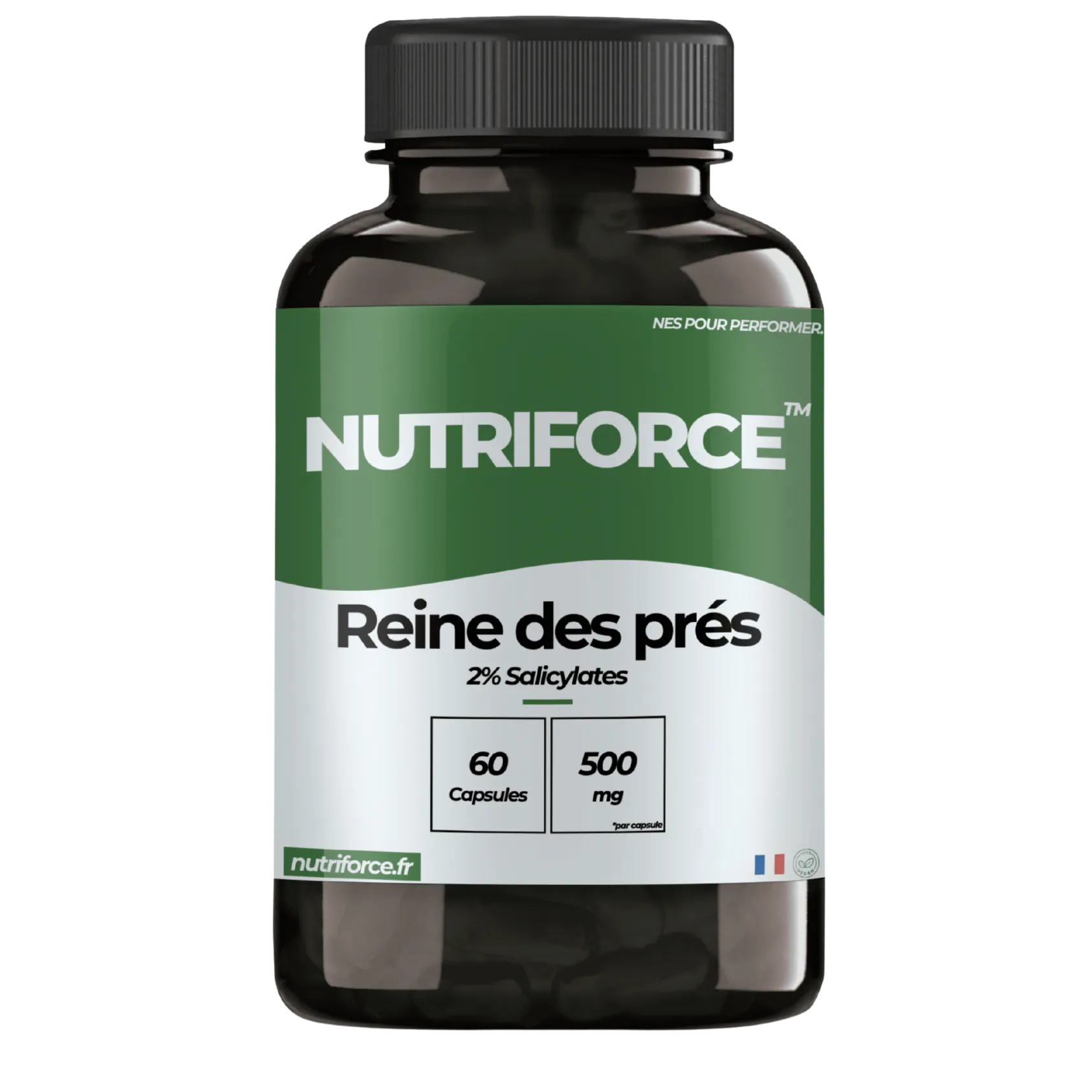 Pot de Reine des Prés Nutriforce