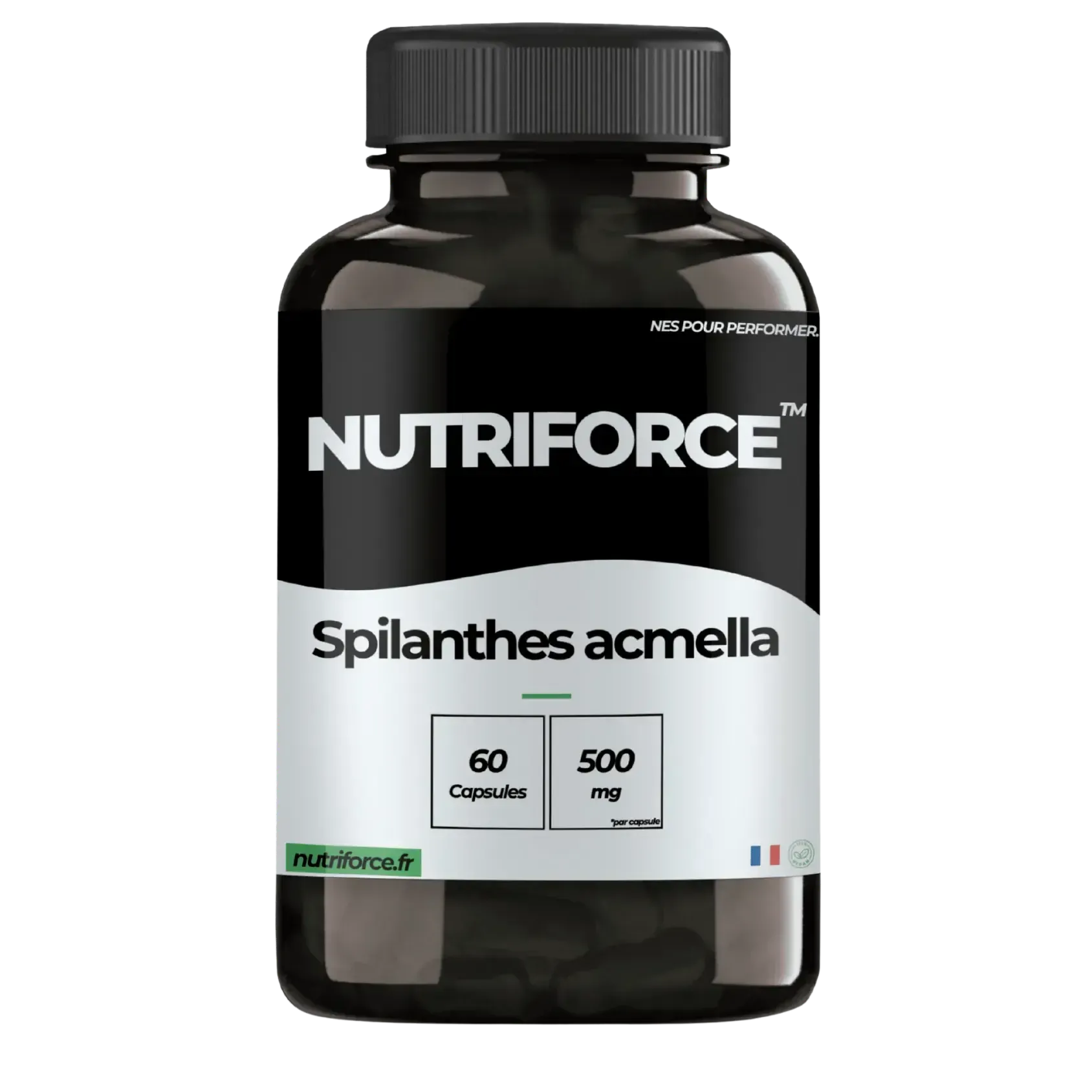 Pot de Spilanthes Acmella Nutriforce